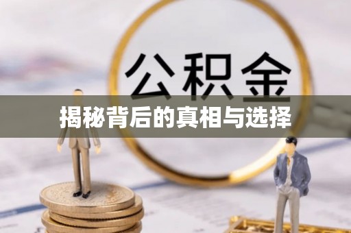阳山揭秘背后的真相与选择