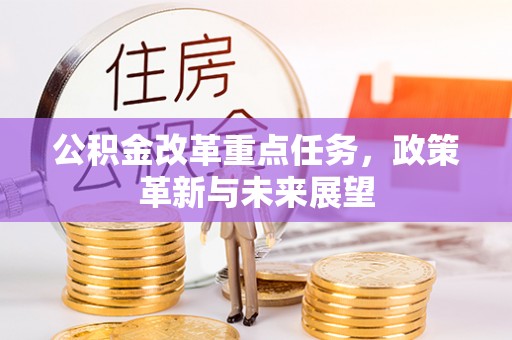 阳山公积金改革重点任务，政策革新与未来展望