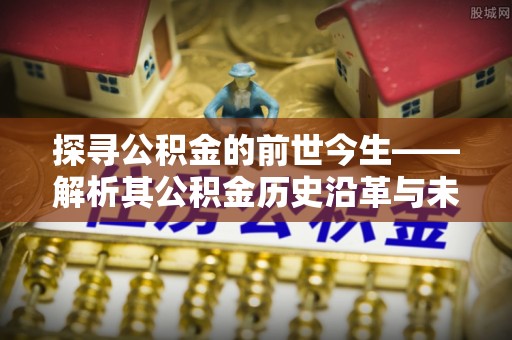 阳山探寻公积金的前世今生——解析其公积金历史沿革与未来方向