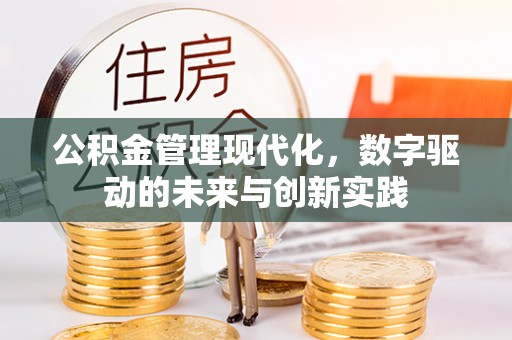 阳山公积金管理现代化，数字驱动的未来与创新实践