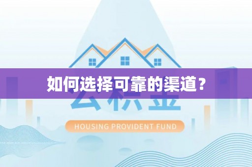 阳山如何选择可靠的渠道？