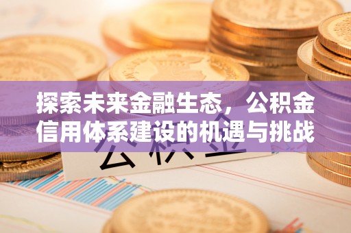 阳山探索未来金融生态，公积金信用体系建设的机遇与挑战