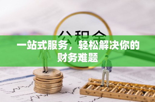 阳山一站式服务，轻松解决你的财务难题