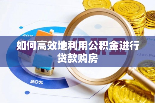 阳山如何高效地利用公积金进行贷款购房