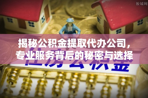 阳山揭秘公积金提取代办公司，专业服务背后的秘密与选择指南