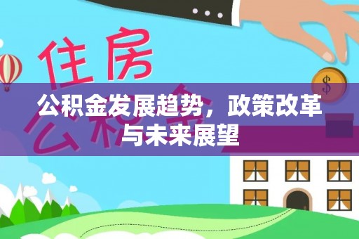 阳山公积金发展趋势，政策改革与未来展望