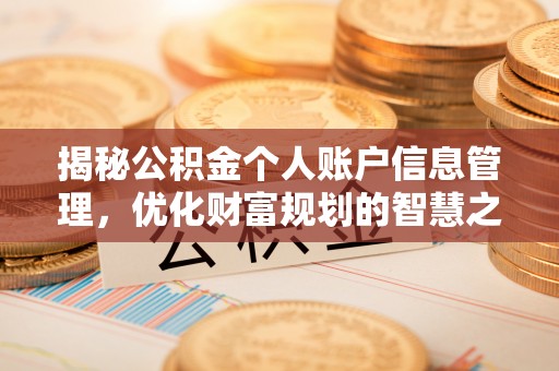 阳山揭秘公积金个人账户信息管理，优化财富规划的智慧之选