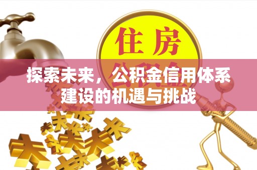 阳山探索未来，公积金信用体系建设的机遇与挑战
