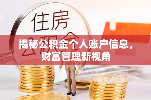 阳山揭秘公积金个人账户信息，财富管理新视角