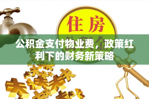 阳山公积金支付物业费，政策红利下的财务新策略