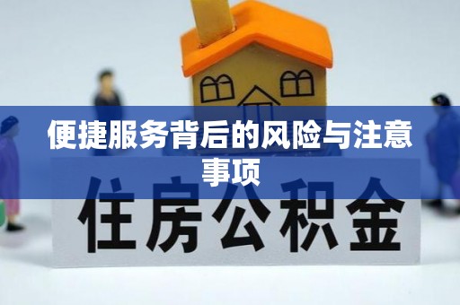 阳山便捷服务背后的风险与注意事项