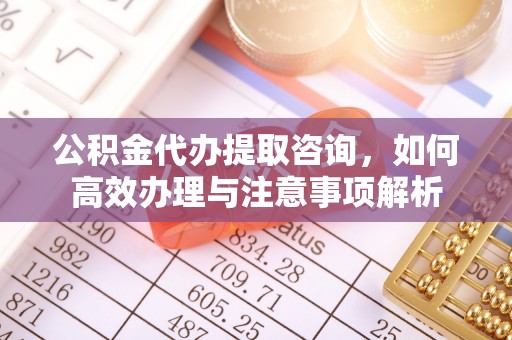 阳山公积金代办提取咨询，如何高效办理与注意事项解析