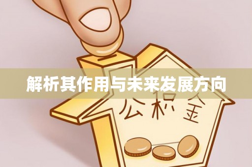 阳山解析其作用与未来发展方向