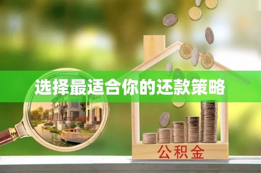 阳山选择最适合你的还款策略