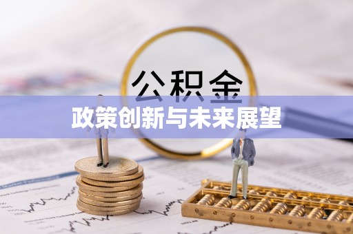 阳山政策创新与未来展望
