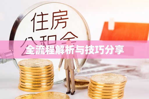 阳山全流程解析与技巧分享